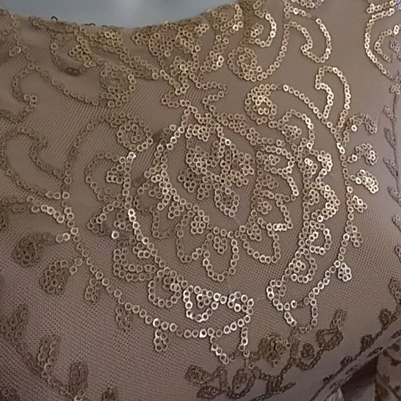 Gold and Nude Dress - Picture 2 of 3